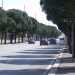 Via Caldarola, 8 corsie e i suoi pini