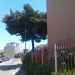 vista viale
