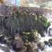 La cascata