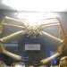 Museo del Dipartimento di Biologia: esposizione di un crostaceo