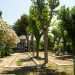 Sul retro un altro giardino conserva oltre a una Madonnina, delle panchine in muratura e piste per giocare a bocce. Tutte strutture che nessun paziente potr pi utilizzare...