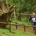 Una signora, a passo contenuto, percorre il bosco alla ricerca delle lanterne