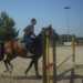 L'istruttore Piero Addante, in procinto di saltare un ostacolo con il suo cavallo, nel circolo ippico Country Life