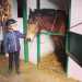 Domenico, di 5 anni,  gi pronto per la lezione con in testa un casco nero e ai piedi i classici stivali da equitazione. Oggi dovr cavalcare Shutterfly, un bellissimo pony marrone, tra i pi grandi del maneggio
