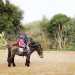 Vicina a Domenico c sempre la pi piccola del corso, Giorgia, di 4 anni, che cavalca un pony nero