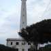 Il faro di Bari 