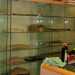 Guitarmaniac: espositore interno 