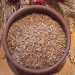 Grano Kamut