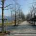 La nostra esplorazione parte dalla lunga arteria che costeggia il lago, via Dante Alighieri. Sulla sinistra c' un ampio parco caratterizzato da panchine colorate e un viale alberato, ideale per una lunga passeggiata