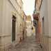 La cosiddetta strada delle monete che conduce dal castello alla Zecca 