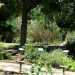Museo ortobotanico: piante officinali e stagnetto