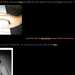 Skakki nostri: un profilo con fotografie e citazioni personalizzate