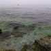 L'acqua limpida e dal colore verde tipica del Vugghio 