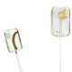 Lecca-lecca al verme e '24 karat gold lollipop'