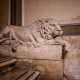 ...�sorvegliata� da due sculture di leoni sdraiati.