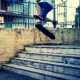 Bari- acrobazia su scalini con lo skate