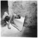 Selfie di Francesca Woodman (1958 - 1981), famosa fotografa statunitense