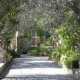 Il vialetto d'accesso alla Casa dei Bah�'i di Bari, costeggiato dagli ulivi