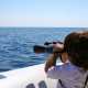 Un piccolo turista a bordo del catamarano Taras che osserva con un cannocchiale un delfino 