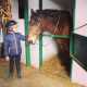 Domenico, di 5 anni, � gi� pronto per la lezione con in testa un casco nero e ai piedi i classici stivali da equitazione. Oggi dovr� cavalcare Shutterfly, un bellissimo pony marrone, tra i pi� grandi del maneggio