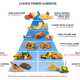 La piramide alimentare di una corretta alimentazione