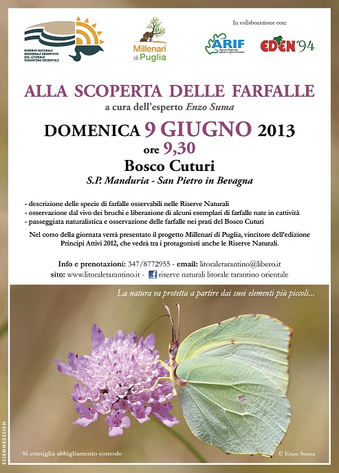 online incontri farfalle