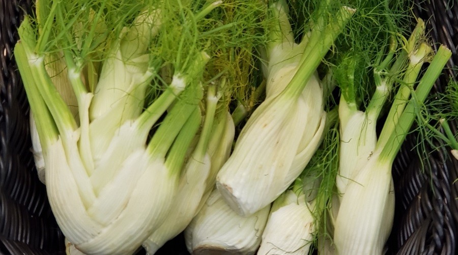 Policlinico Di Bari Scoperta Una Nuova Allergia Quella A Finocchio Sedano E Carota Barinedita Testata Giornalistica Online