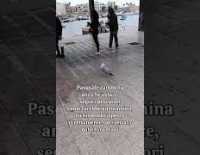 I video di Barinedita