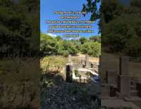 I video di Barinedita