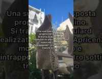 I video di Barinedita