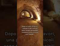 I video di Barinedita