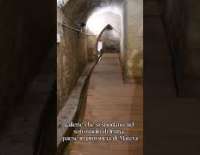 I video di Barinedita