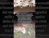 I video di Barinedita